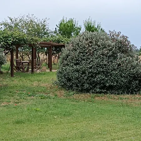 Giganti Verdi - Kiwi * Orbetello